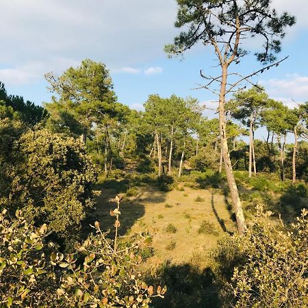 T2 Du Centre, Charme Et Exotisme Lägenhet Saint-Jean-de-Monts Exteriör bild